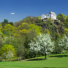 Blühende Obstbäume unter Schloss Wolkenstein