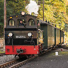 Die Preßnitztalbahn im Herbst 2